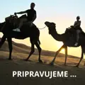 Arganový olej 30ml dárek
