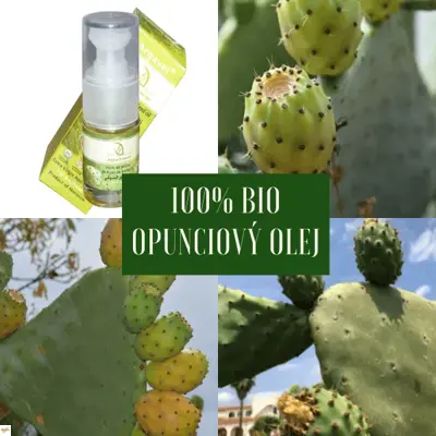 kaktusový olej