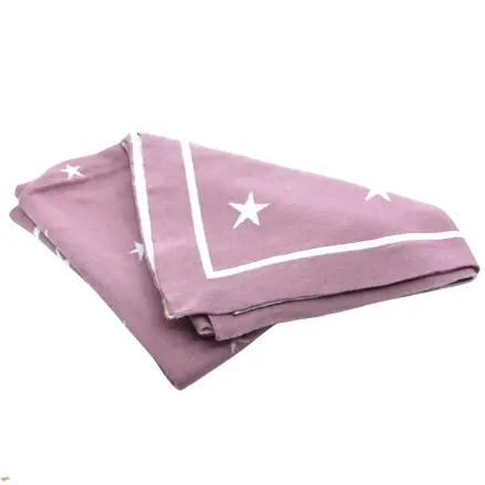 Dětská deka hvězdičky růžová
